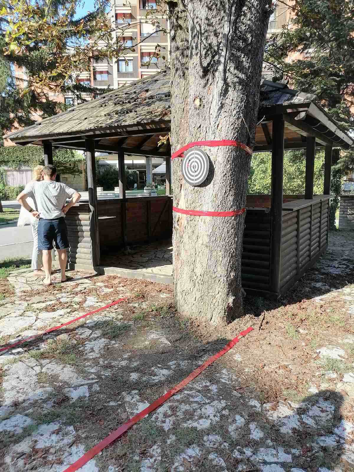 13.jpg